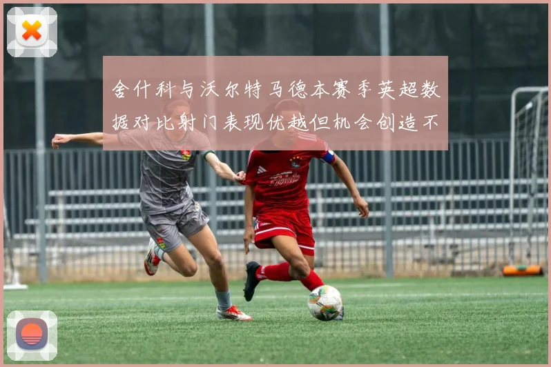 舍什科与沃尔特马德本赛季英超数据对比射门表现优越但机会创造不足